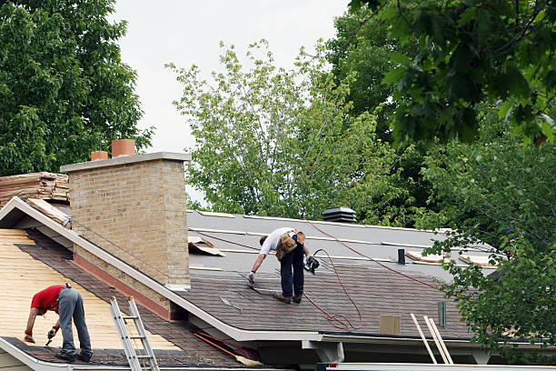 Best Roof Leak Repair  in Morrison, IL