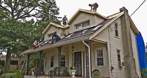 Best Metal Roofing Contractor  in Morrison, IL