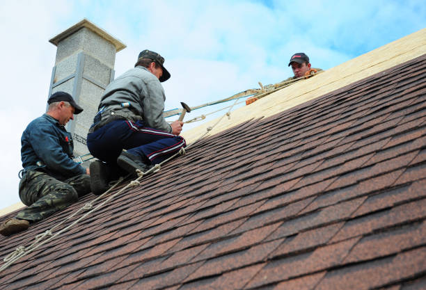 Best Roof Replacement Cost  in Morrison, IL